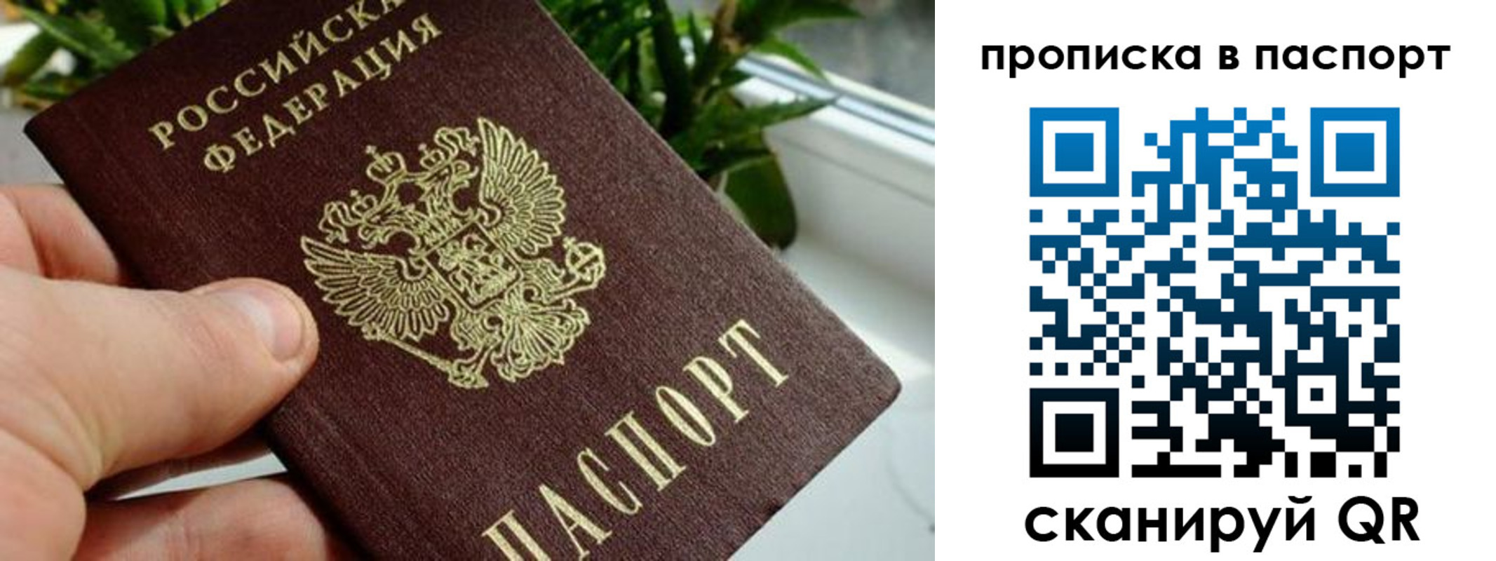 пропишу в квартире в Горячем Ключе
